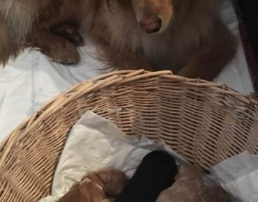 60829259_2174840189251314_4858792585231073280_n