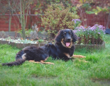 73281614_2450501465031328_3855641400599117824_o