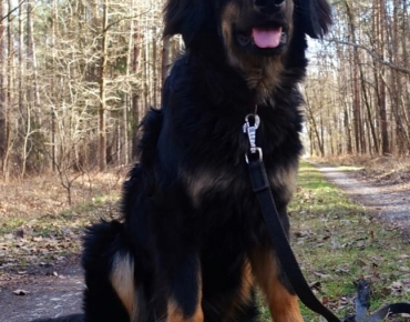 161668870_3813077888760861_4818505309364281692_n