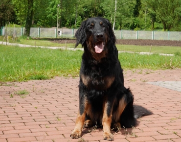 172655722_4018735044861810_6572054768608433415_n