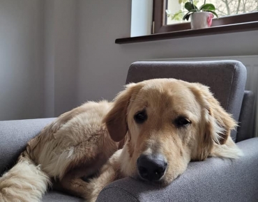 173958968_3905157082886274_7242400329794432421_n