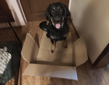 174383040_3905156839552965_8692874536023271369_n