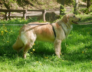 190508582_4019853318083316_873325597640791267_n