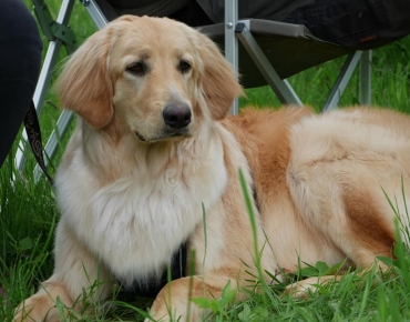 191067203_4019852724750042_6772629948875061262_n