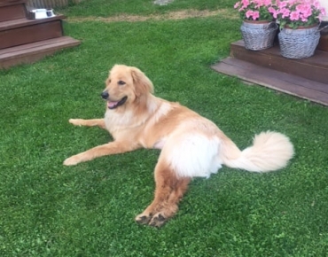 219413564_1273309489785310_8701633646310691019_n