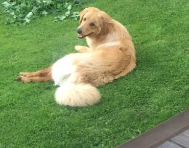 221260275_551690132541628_8925789883815309714_n