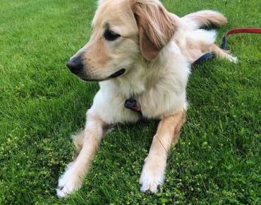 221747679_1011482189589774_1135853113502465823_n