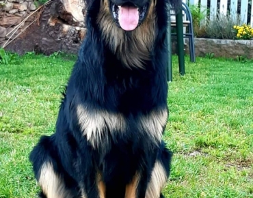 225547909_846602659601523_6218157314869446098_n