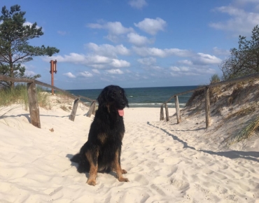 225978245_520169472625735_4836334031996921350_n